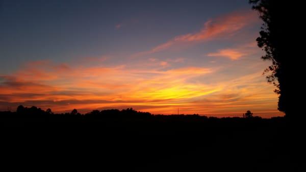 Sunset Pines RV Living