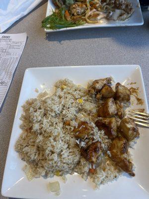 Teriyaki chicken no veggies