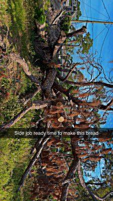 Rivera Lawn&Lanscape