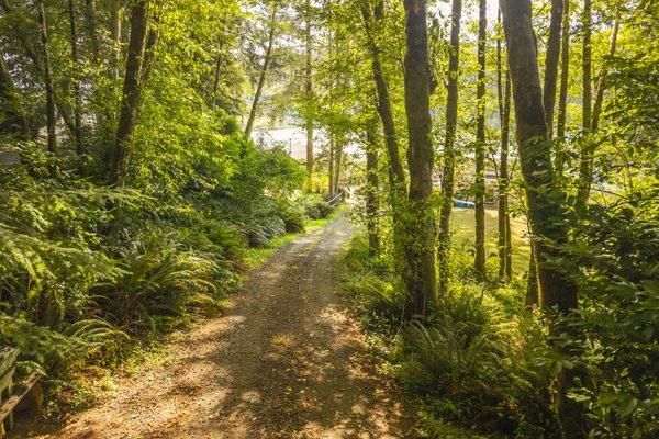 Shapiro Home Group-eXp Realty