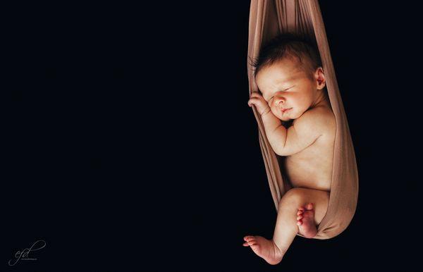 Dani Adams-Barry Photography