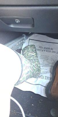 Picture of my cast. Show how I need a used knee equipment that rolls