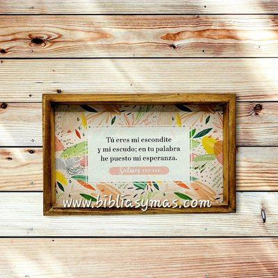 Cuadros en español 10x7" pulgadas, 4 diferentes modelos
SKU: 0082526711752