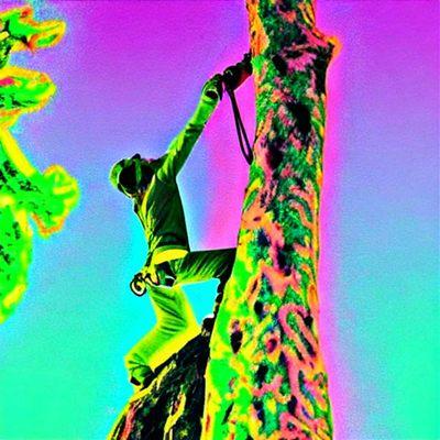 Hoskin Haus Tree Service & Pressure Washing