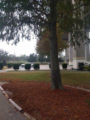 Eastbank Bridge Park