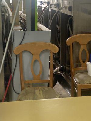 Brilliant Bubbles Laundromat