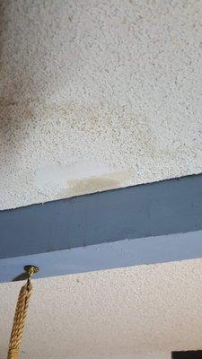 Ribas Roofing and Services