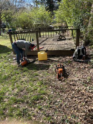 Costeno Tree Services