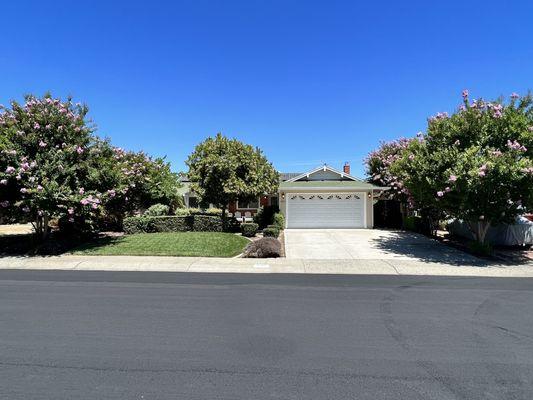 Mountain Tree Service