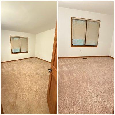 Roots Cleaning Services