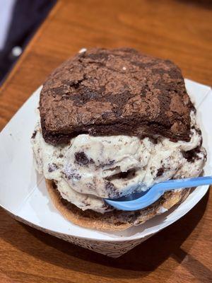 Delicious ice cream sandwich