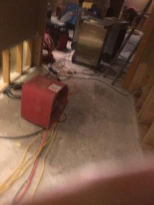 Pics from one of many losses this winter.