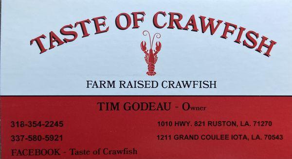 Live Crawfish