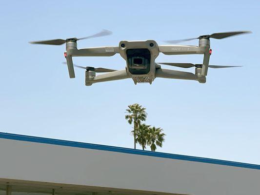 Blue Ocean Productions