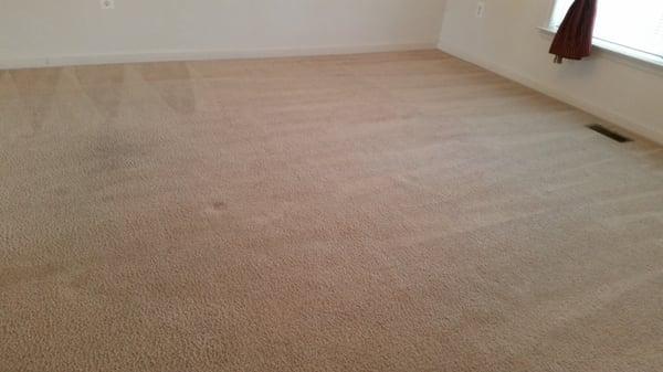 One Time House & Carpet Cleaning