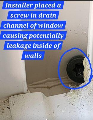 American Windows Of DFW