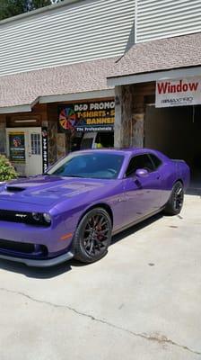 Evolution Window Tint