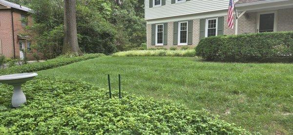 New Horizon Landscaping