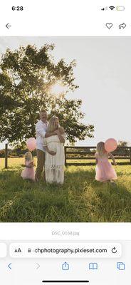 Little Branch Studio