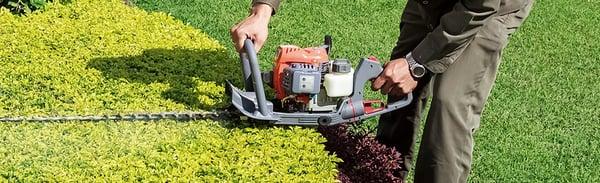 Ron's Tree & Lawn Service