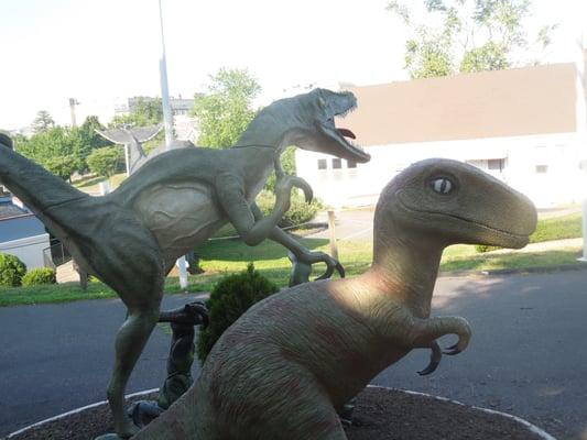 Velociraptor & Allosaurus Statues