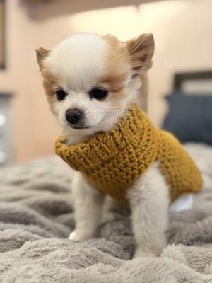 A Plus - Healthcare at Home