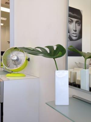 Roberto Madera Salon