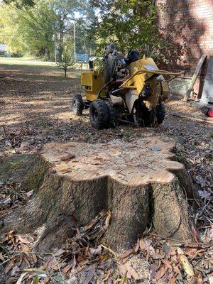 Allatoona Stump Grinding
