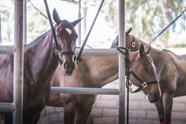 Rancho Polo Equestrian Center