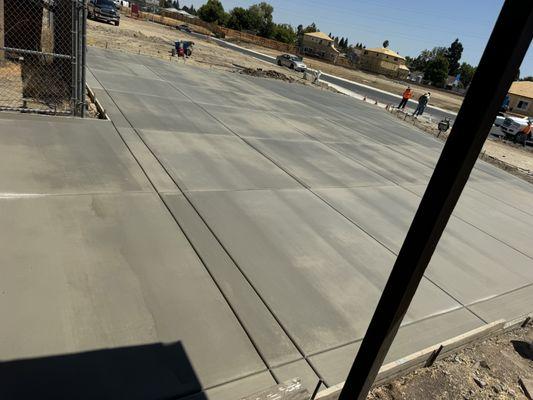 Lucid Backyard Dreams