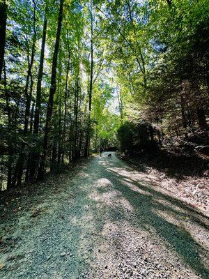 Lula Lake Land Trust