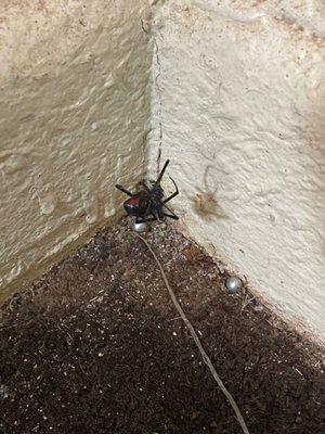 Wayfarer Motor Hotel