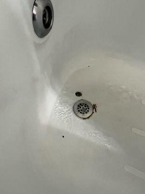 Chipped/stained tubs.