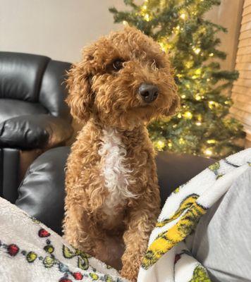 Bonds Ranch Animal Medical Center