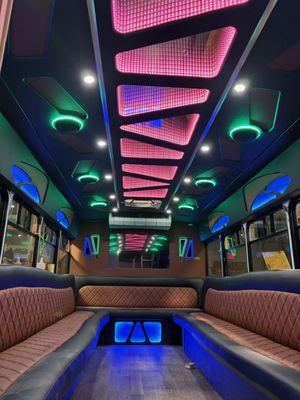 Ford E450 20 passenger party bus
