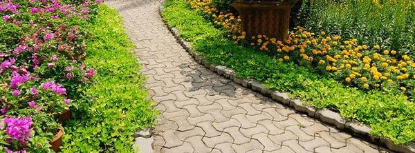 Michoacan Property Maintenance