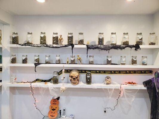 Happy Halloween at johnsoncreek lamota!!!