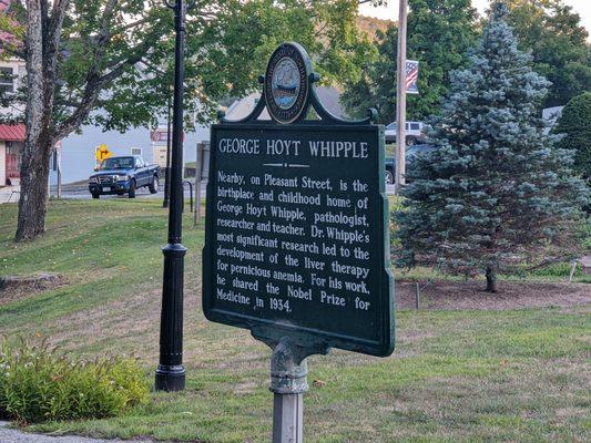George Hoyt Whipple