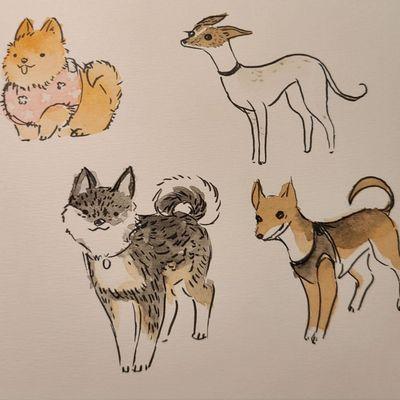 Alice Frost Kennedy Dog Park