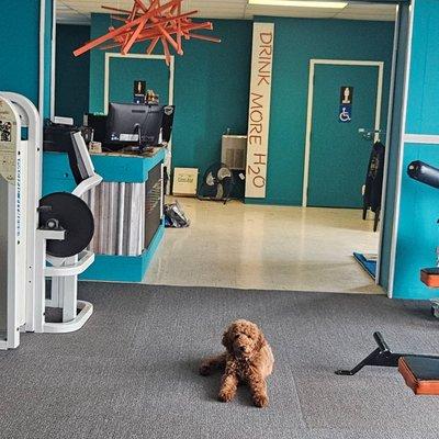 Faith Fueled Fitness