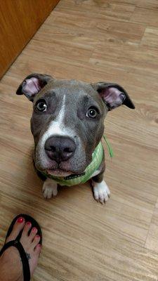 Lexington Animal Clinic