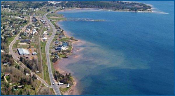 Mayo Collision Clinic