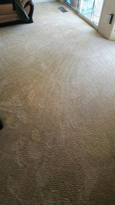 Color Master Carpet Care