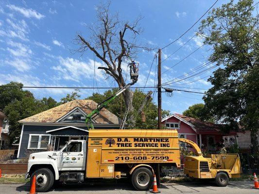 D A Martinez Tree Service