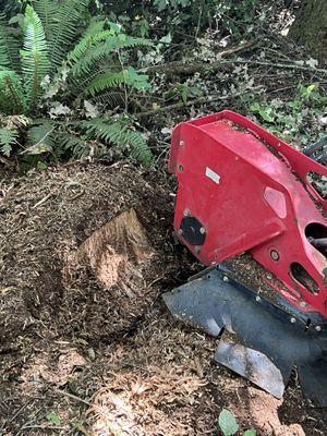 Copper Forest Designs