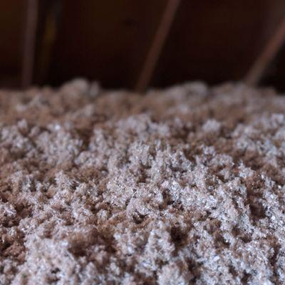 Cellulose Insulation