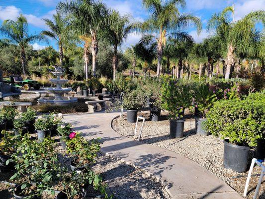 Landscaping options highlighted by hardscaping.