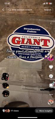 California Giant Berry Farms