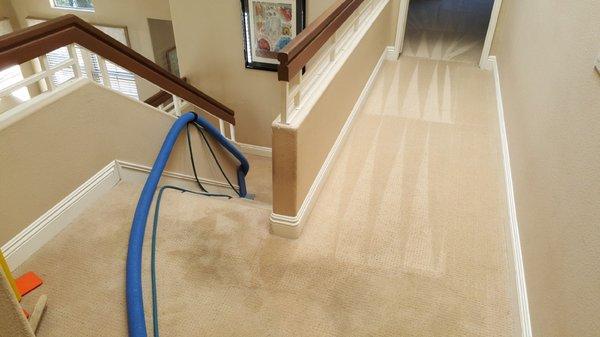 Aliso Viejo Carpet Cleaning Experts