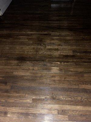 Alpha Floor Sanding